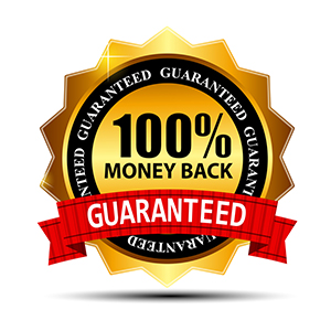 Vector money back guarantee gold sign, label Vector money back guarantee gold sign, label
